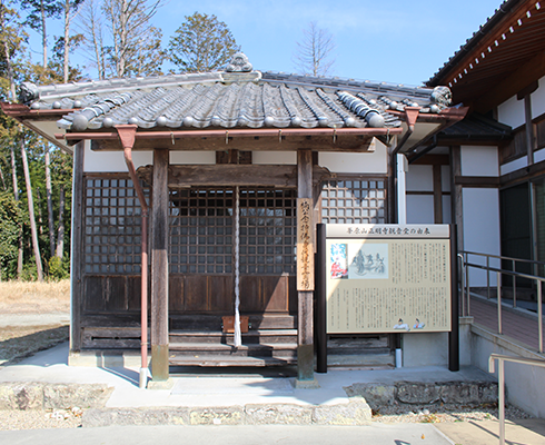 身代わり観音について